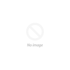 Total non-volatile algorithm